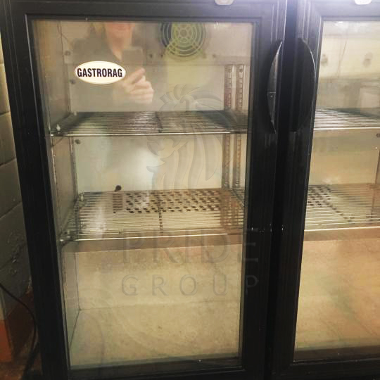 картинка Холодильный шкаф витринного типа Gastrorag SC248G.A